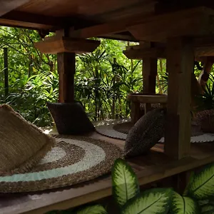 roots-tree-house.ubudhotelsnow.com/